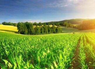 आर्थिक रुपान्तरणको बलियो खम्बा कृषि : अर्थमन्त्री डा महत