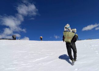 उपल्लो डोल्पा प्रशस्त सम्भावना भएर पनि पछि पारिएको क्षेत्र