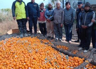 शीत भण्डारमै सुन्तला कुहियो: वैज्ञानिकसंग किसान असहमत