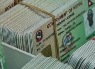 सडक दुर्घटना न्यूनीकरण गर्न सार्वजनिक यातायातका सवारी चालकका लागि छुट्टै लाइसेन्स