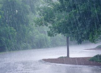 आजको मौसम : वर्षा र हिमपातको सम्भावना