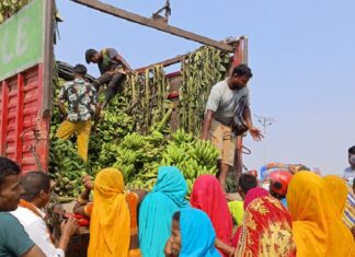 चितवनमा भारतीय केरा, स्थानीय उत्पादनले बजार नपाउँदा किसान चिन्तित