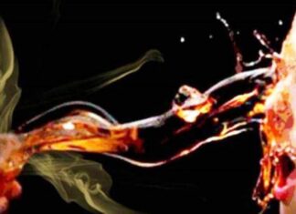 ‘अग्निपीडितको पुनःस्थापनाका लागि सीप विकास आवश्यक’