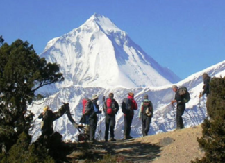 धवलागिरि र अन्नपूर्ण आरोहणका लागि ४० जनालाई अनुमति
