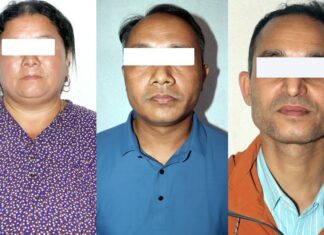 वैदेशिक रोजगारीमा पठाइदिन्छु भन्दै ठगी गर्ने दुई पक्राउ