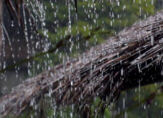 कोशी, बागमती र गण्डकीमा वर्षाको सम्भावना