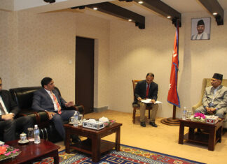 उपराष्ट्रपति यादवसँग पाकिस्तानका राजदूतको शिष्टाचार भेट