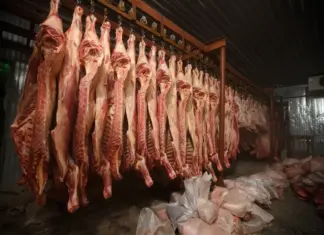 अव्यवस्थित वधशालाले अस्वस्थकर मासु किनबेच