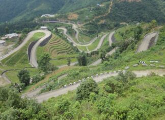 जापानको सहयोगमा ‘भट्टेडाँडा सडकमा हरियाली अभियान’