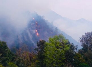 वन डढेलो विकराल बन्दै, देशभर एक सय ६५ ठाउँमा डढेलो