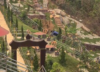 झाँगाझोली जडीबुटीको ‘शैक्षिक हब’ बन्ने