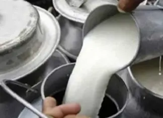 दूध बिक्रीबाट मनग्य आम्दानी