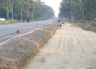 नारायणगढ–बुटवल सडकखण्ड दुईतर्फी सञ्चालन