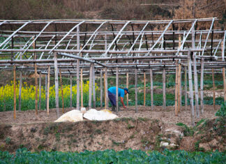 विषादी प्रयोगबारे सचेत बन्दै किसान