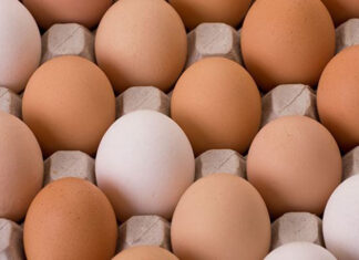 गर्मीले अण्डा उत्पादन घट्दा लागत बढ्यो