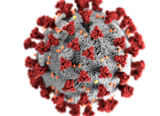 कोरोनाको नयाँ भेरियन्ट : सङ्क्रामक तर घातक कम
