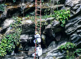 आयआर्जन र पर्यटन प्रवर्द्धनको माध्यम बन्दै महसिकार