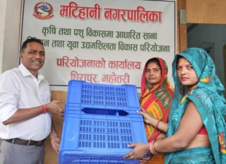 डाले घाँसको बीउ पाएपछि मटिहानीका किसान दङ्ग