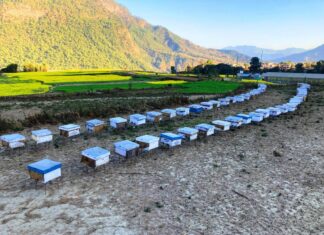 मौरीपालनका निम्ति अनुदान बढाउन किसानको माग