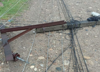 हुरीले पोल ढाल्दा विद्युत् सेवा अवरुद्व