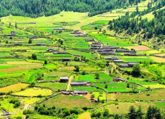 ग्रामीण जनजीवनलाई जीवित राखेका बागलुङको दिजगाउँ