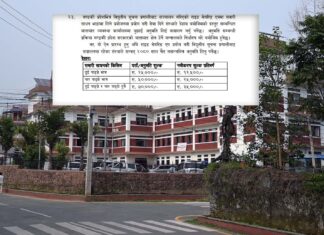 पोखरामा इन्ड्राइभलगायतका ‘राइड सेयरिङ’ सञ्चालनमा रोक