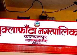 अपाङ्गता भएका छ सय बढीलाई परिचयपत्र