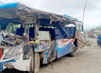 सर्लाहीको बागमतीमा सवारी दुर्घटना, तीन जनाको मृत्यु