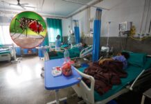 चितवनमा एक हजार सात सय जनामा डेंगी सङ्क्रमण