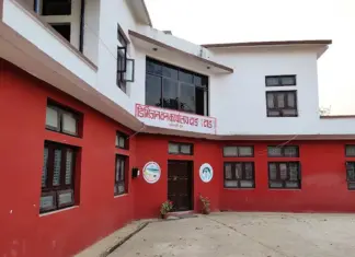 दाङमा तीन लाख बिरुवा तयार, निःशुल्क वितरण गरिने