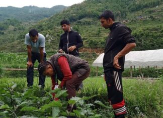 कृषिमा आधुनिक प्रणाली चाहन्छन् पाँचखालका किसान