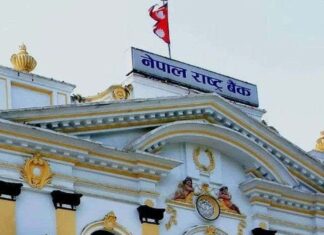 विदेशी विनिमय सञ्चिति करिब साढे १९ खर्ब पुग्यो