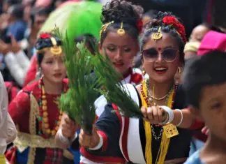 चितवनमा रोपाइँ महोत्सव हुने