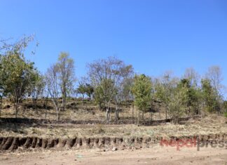 गण्डकीमा ‘प्रदेश सरकारको साझेदारीः बाँझो रहन्न खेतबारी’